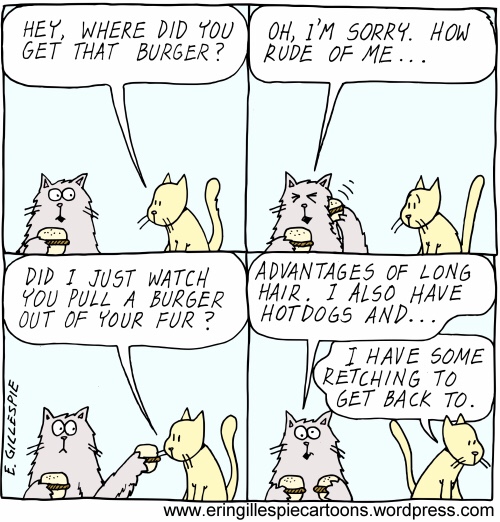 Advantages of Long Hair cartoon. Cats talk about fur. 