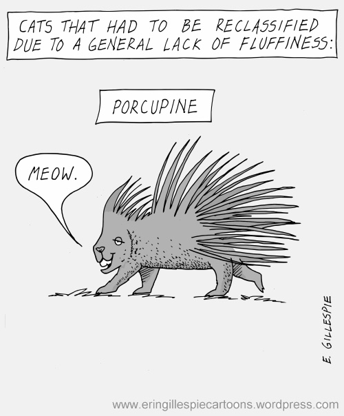Porcupine cartoon